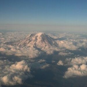 Meet your Posher, Steve